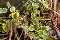 image000000001002003004005006007008009