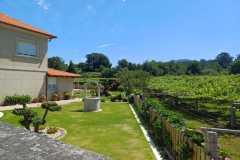 452324773_7903385579731148_3978538738427278809_n