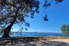 452342415_7903382713064768_2820061384752782486_n