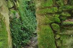 452398682_7903391929730513_8142875453418745004_n