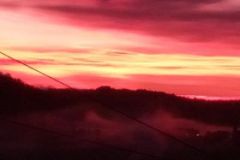 269964264_462466472215697_8798192908968539265_n