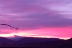 270085714_338356451467579_2846014375985013356_n