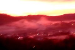 270152279_1616395352026872_4288159374134292586_n