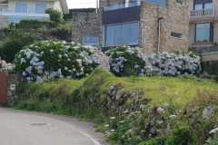 451173103_7870558949680478_1797886052117886449_n