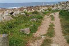 451256434_7870558109680562_1711394522739116239_n