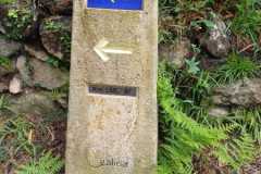 451257584_7870557956347244_5478157076402708148_n