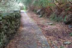 451316749_7870557243013982_8397533941004625995_n