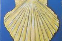 451450217_7870558313013875_5294854445512914193_n