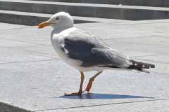 451486715_7882257238510649_3805473916990502177_n