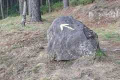 451816284_7882262071843499_7265800552763370689_n