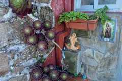 451816351_7887358051333901_3117257628590102084_n