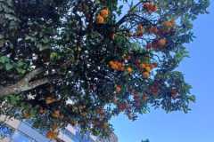 451852288_7887368817999491_5961400822151612094_n