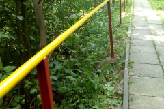 WhatsApp Image 2018-06-21 at 12.39.24 (1)