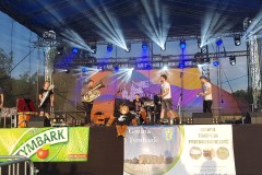 2019-07-27-19.19.23-1