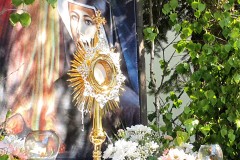 1_2021-06-03-16.36.07