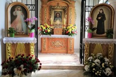 194711226_328419885301423_4258768072166722729_n