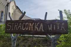 437684193_7371720132916900_5349247800565996168_n