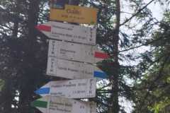 437729929_7371722646249982_1038096358088806464_n