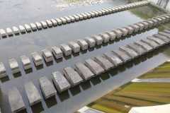 437740968_7371731036249143_2450403955306536244_n