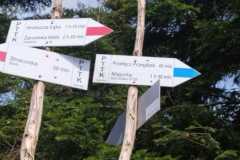 437744464_7371722432916670_4755909460338009730_n