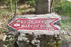 437762958_7371725726249674_8962572529376733397_n