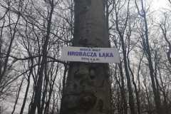 437853173_7371728482916065_7325613556973963971_n