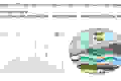 438086377_7371719722916941_8110840082537942312_n