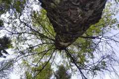 438330030_7371724432916470_2887800147118879291_n