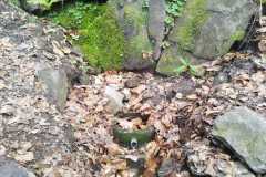 438721823_7371726496249597_7730010444218700716_n