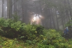 305957210_1021505478520948_6413348523344333404_n