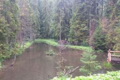 306014033_5578257715592407_8465208215537876577_n