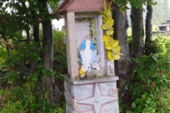 306038157_817316209714037_1933854874384241341_n