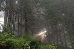 306240089_1669973886716566_3357247295222093431_n