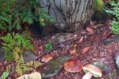 306469730_1131084001163769_4299712022330749885_n