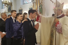 33676142_647130582294588_4847666369371570176_n