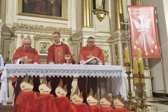 56435141_411429382753025_5729849104326983680_n-1