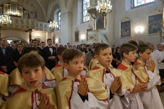 33662825_646698332337813_5027170425814122496_n