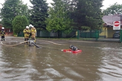 64480537_615072498990451_2686834693160042496_n