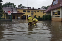 64537673_428862394633185_5112992217509658624_n