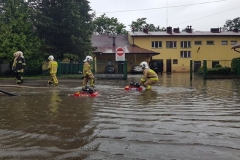 64543944_464880387388569_8692291312000434176_n