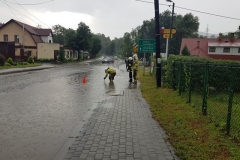 64575609_396631504528678_8841403767539630080_n