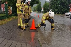 64578336_367363743953904_7159700088611143680_n