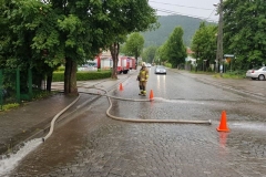 64656124_2351623011790092_5734465369536462848_n