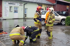 64711433_514852092381996_7840232691680149504_n