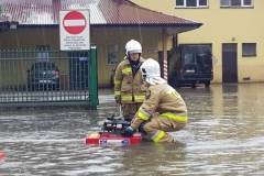 64736053_2163993547225362_7882107703693148160_n