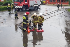 64836913_445701199545208_6854691444192444416_n