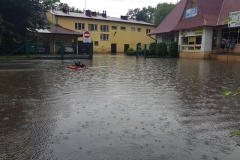 64887441_475434929877698_238185872485253120_n