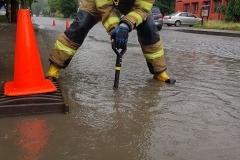 64979785_460544128043215_2446541344647151616_n