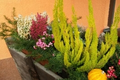 70223233_655577814933463_4144515987485491200_n