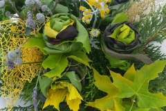 71227554_373883863551115_678842297214828544_n